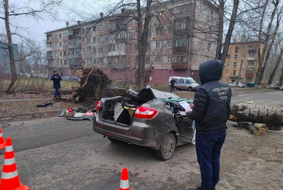 Talihsiz kaza! Hareket halindeki aracın üzerine ağaç devrildi: 2 ölü