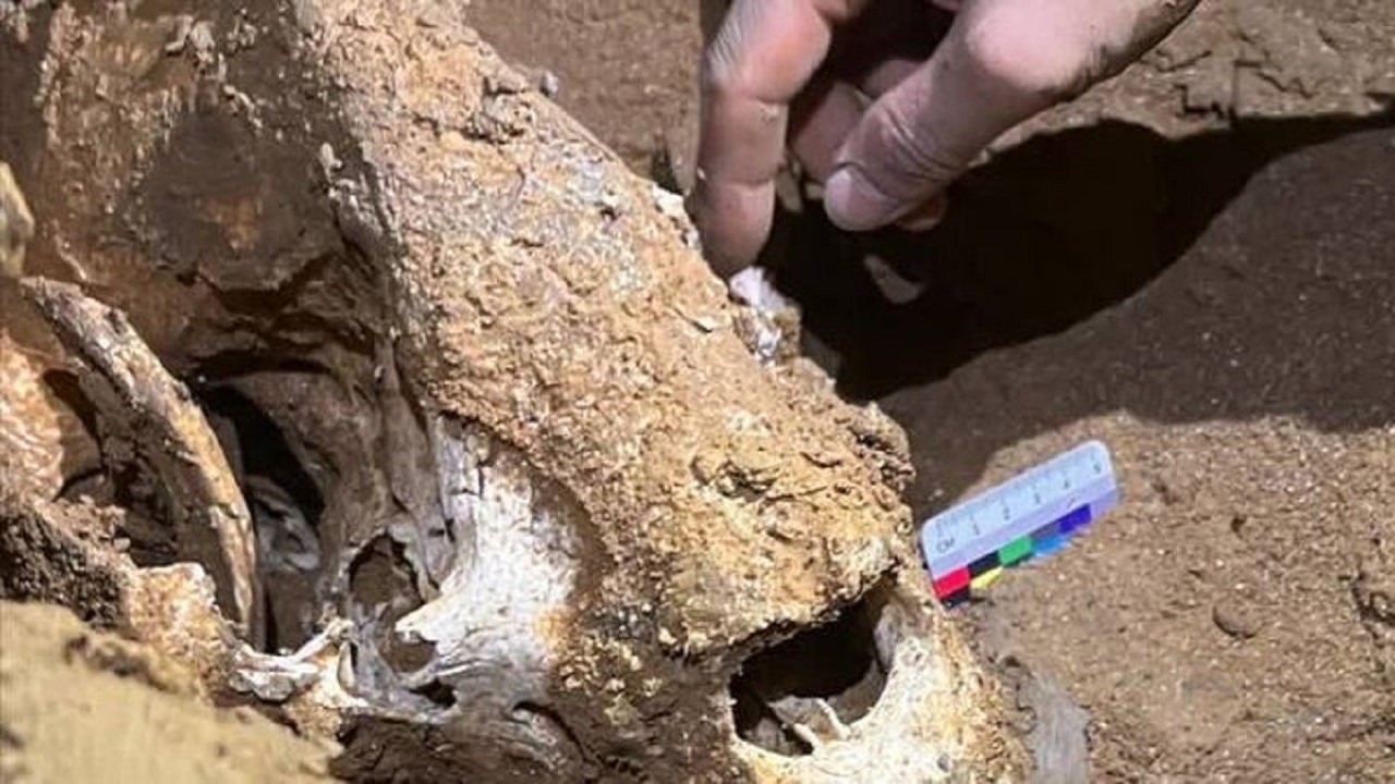 Tam 100 bin yıllık! Çin'de bulundu