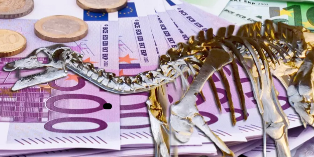 Tam 150 milyon yıllık, Dinozor iskeleti bakın kaç bin avroya aldılar! Rakamı dudak uçuklattı...