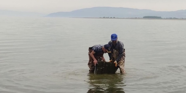 Tam 2 bin yıllık! Ağlara tarih takıldı