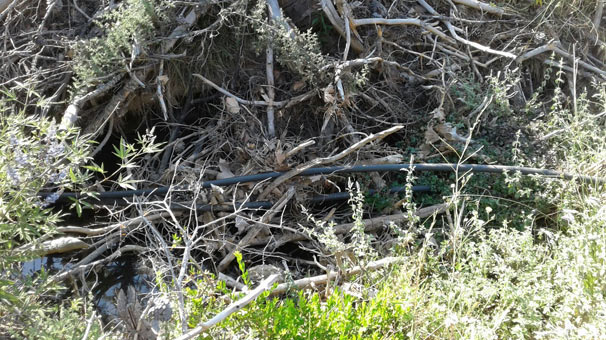 Tam 2 kilometrelik hortum… Polis ekipleri şok oldu! Sonunda bakın ne çıktı