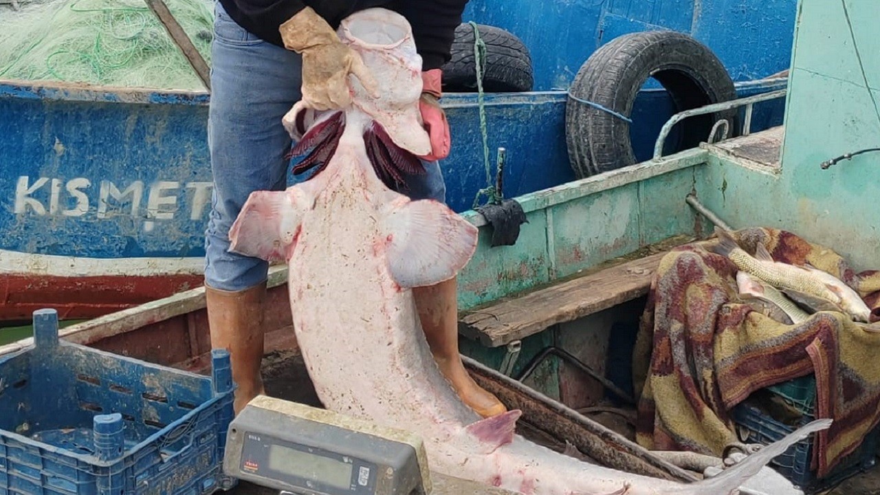 Tam 2 milyon lira! Balıkçının ağına hazine takıldı