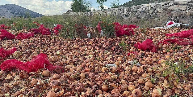Tam 2 ton kuru soğan: Köy çıkışında şok manzara... Allah'tan korkun be insafsızlar!