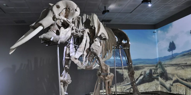 Tam 3 bin 500 yıllık! Türkiye'deki iki büyük depremi sonrası beklenmedik detayı: Bakın hasarsız atlattı