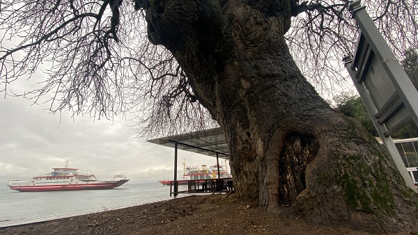 Tam 460 yıldır ayakta! Bir zamanlar herkese şifa dağıtıyordu