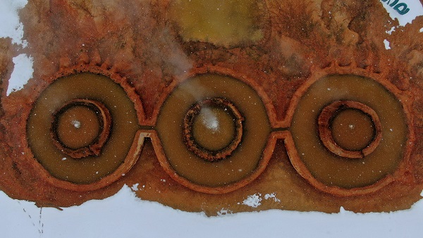 Tam 48 derece! Burada kar yağar yağmaz eriyor