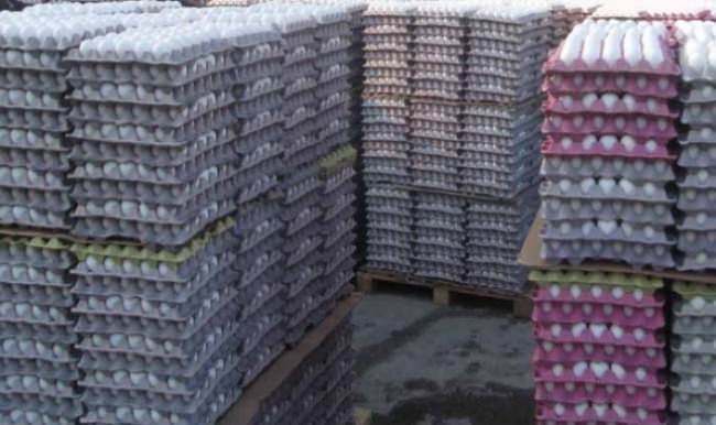 Tam 5 milyon adet bozuk yumurta ele geçirildi