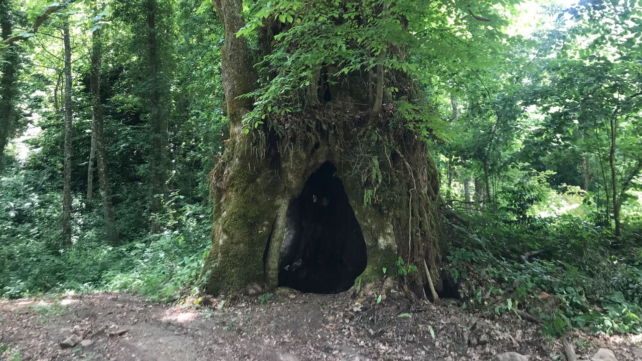 Tam 500 yıllık! Köylüler şans eseri buldu Türkiye bunu konuşuyor