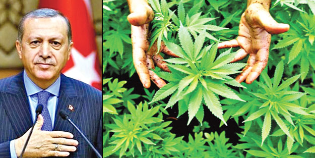 'Tam Bağımsız Türkiye'ye bir adım daha