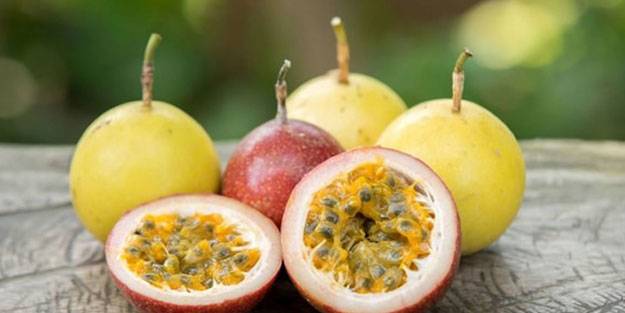 Tam bir doğal sakinleştirici! Faydaları büyük dikkat çekiyor