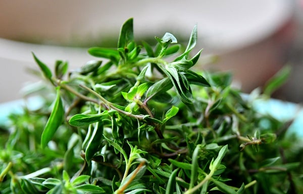 Tam bir şifa deposu!