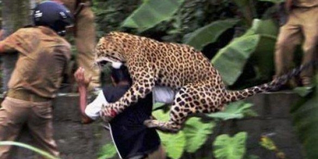 Tam o anda çekilen en ilginç resimler