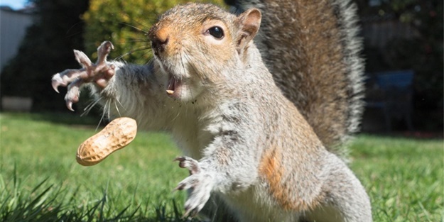 Tam zamanında çekilmiş ilginç kareler