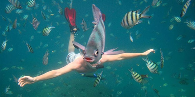 Tam zamanında çekilmiş komik kareler