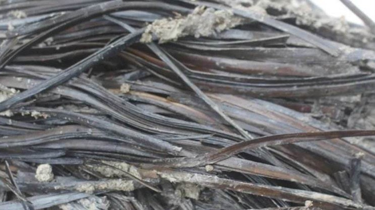 Tamı tamına 2 bin 300 yıllık! Bilim insanlarını havalara uçuran keşif! Tüm dünyaya "Bulduuukk" diye ilan ettiler