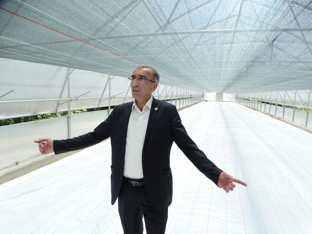 TANAP’tan aldığı destek ile topraksız serada üretim yapacak 