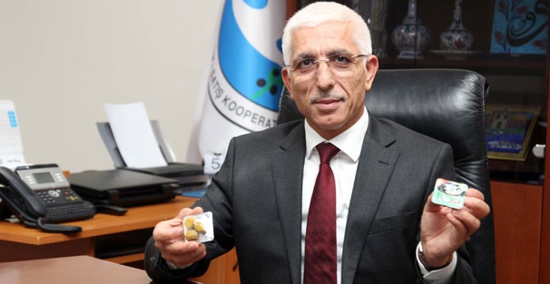 Tane tane zeytin satışı başlıyor