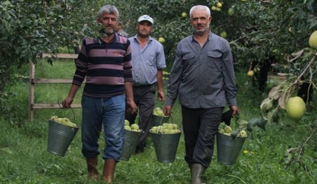Tanesi 1 kilogram! Ücreti 10 yıldır aynı