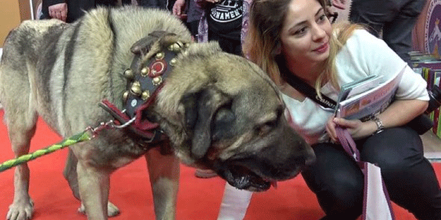 Tank'ın sahibi 25 bin TL'yi reddetti