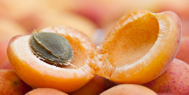 Tanklarda bile kullanılıyor! Çöpe atıyoruz ama 12 milyon liralık geliri var