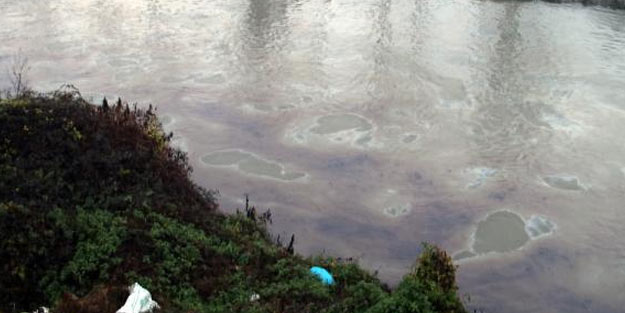 Tankların vanaları çalındı, İstanbul'u besleyen nehre yakıt karıştı