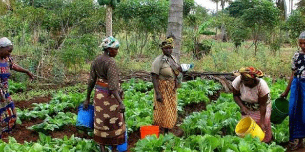 15 ölü! Yayılıyor... Afrika ülkesinde 'gizemli hastalık'