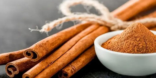 Tarçın: Sağlığınız için gece gündüz çalışır!