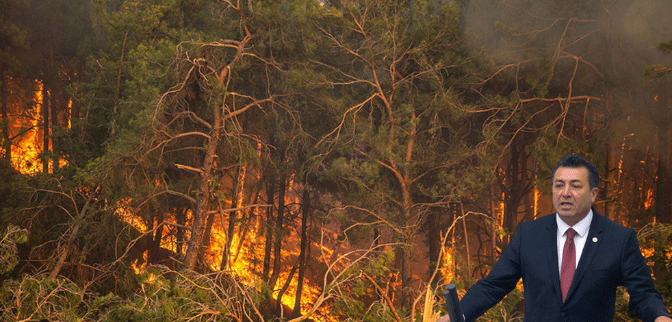Tarih bu ihaneti affetmeyecek! CHP'li Alban ülkemizi aciz gösterip yurt dışından yardım istedi