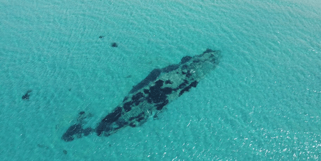 Tarihi Çanakkale savaşının batık İngiliz gemileri böyle görüntülendi
