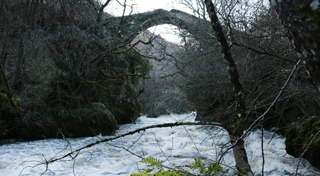 Tarihî ‘Geyik Köprüsü’ keşfedilmeyi bekliyor