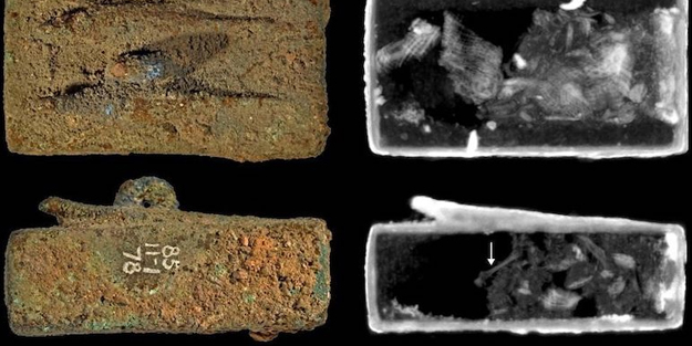 Tarihi heyecanlandıran keşif! Mısır tabutlarının gizemli sonuçları, önemli açıklamalar: Hayvan kemikleri canlı! Hazır kurşun buldu...