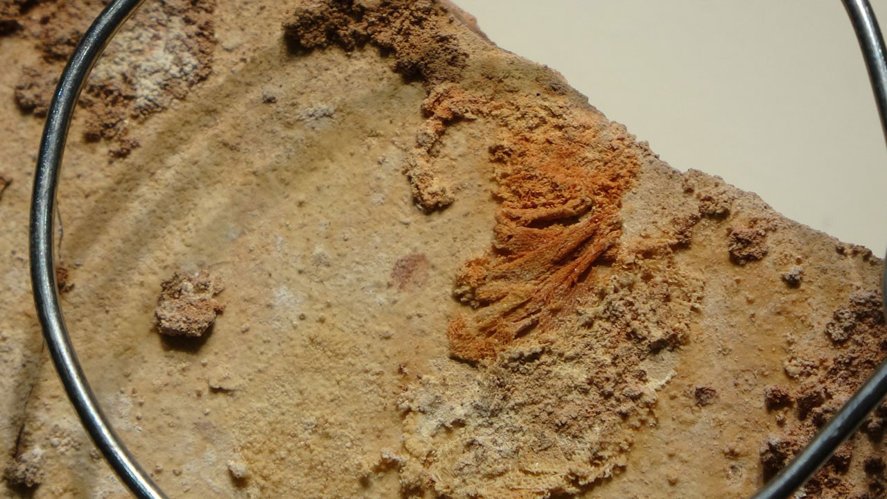 Tarihi keşif! 3 bin 500 yıllık Hitit keten kumaşı ilk kez sergilendi