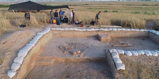 Tarihi keşif: İlk seri üretim kaselerdeki yemek kalıntıları keşfedildi! İlginç detayda son gelişme
