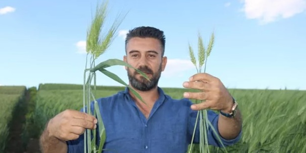 Tarihi küpte bulunan 7 bin yıllık tohumdan müjdeli haber!