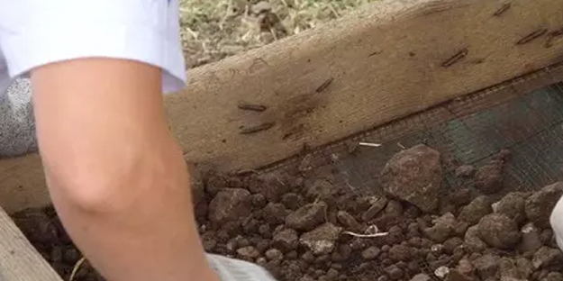 Tarihi yeniden yazacak kazıda şaşırtan keşif: Antik kentte tamı tamına 2 bin yıllık bronz sikke bulundu!