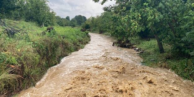 Tarım arazilerini ve evleri su bastı