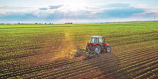 Tarım arazisi kiralayanlar kazancını katlayacak! Hazine arazisi fırsatında son günler