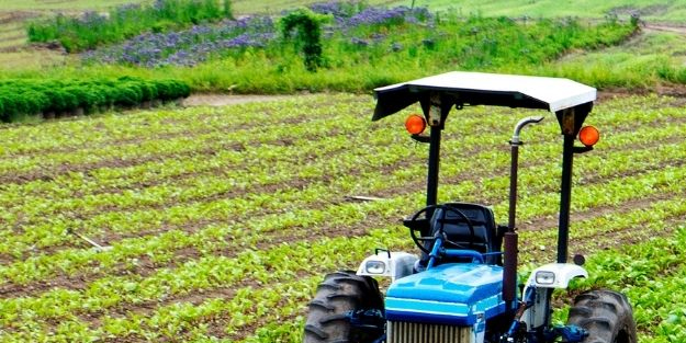 Tarım Bakanı büyük müjdeyi açıkladı: Kadın çiftçilere toplamda 15 Milyar TL destek verildi!