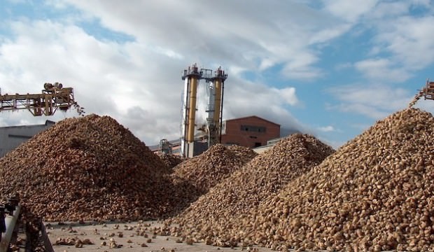Tarım Bakanlığı iddiaları yalanladı: Alımlar durmadı