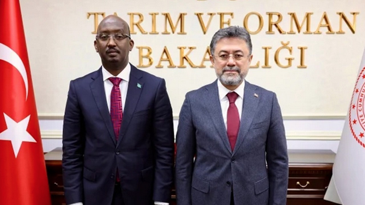 Somali'nin balıklarını, Türkiye tutacak