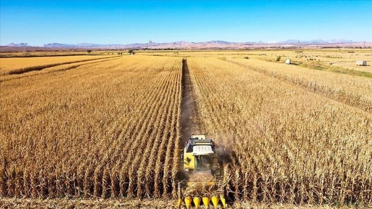 "Tarım bitti diyenler" şok olacak! İşte Türkiye'nin üretim ve ihracat sıralaması