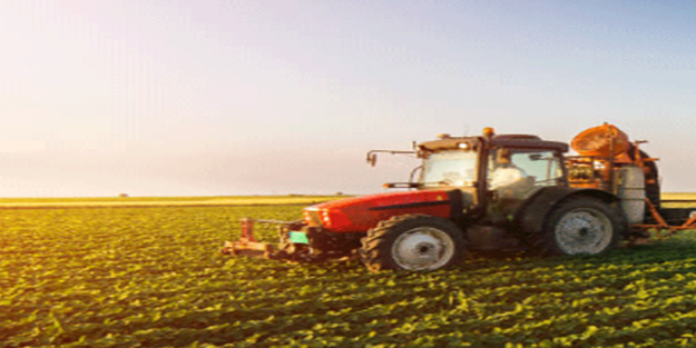 Tarım devi iflas etti! İşte bu beklenmiyordu