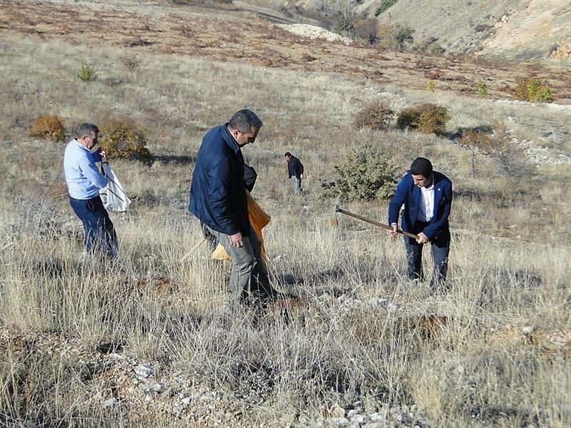 Tarım havzalarında desteklenecek ürünler açıklandı 