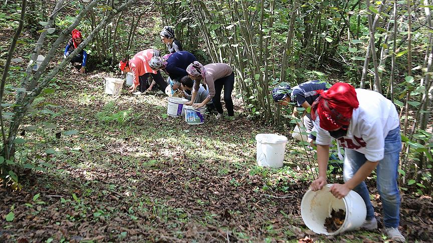 Tarım işçisinin günlük ücreti yüzde 8,9 arttı