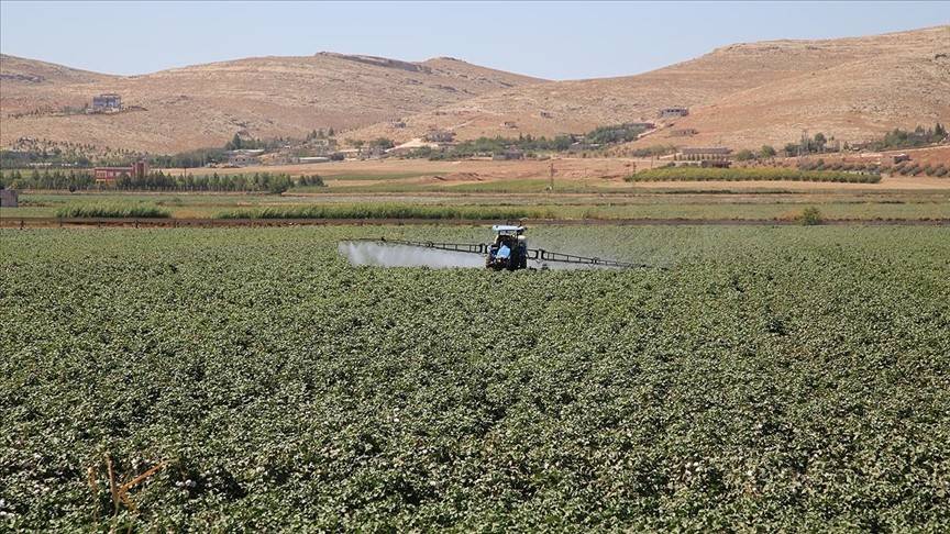Tarım Kredi gübre fiyatlarında yüzde 30'a varan indirim yaptı