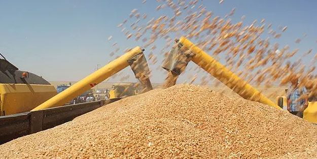 Tarım Mahsulleri Ofisi buğday arpa alım fiyatları ne kadar? 2022 TMO buğdaya ne kadar para veriyor?