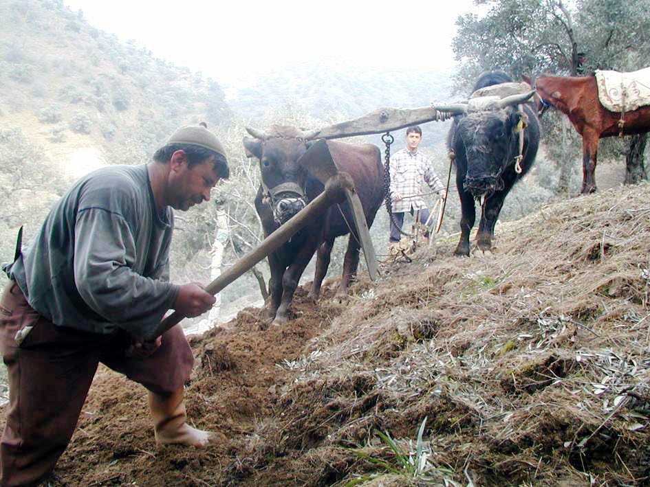 Tarım Müdürlüğü ve Ziraat Odası’ndan çiftçilere ÇKS uyarısı 