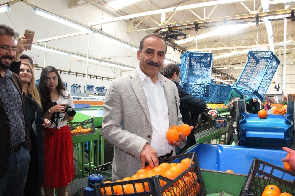 Tarım OSB’ler, Ege tarım ürünleri ihracatını 1 milyar dolar artıracak 