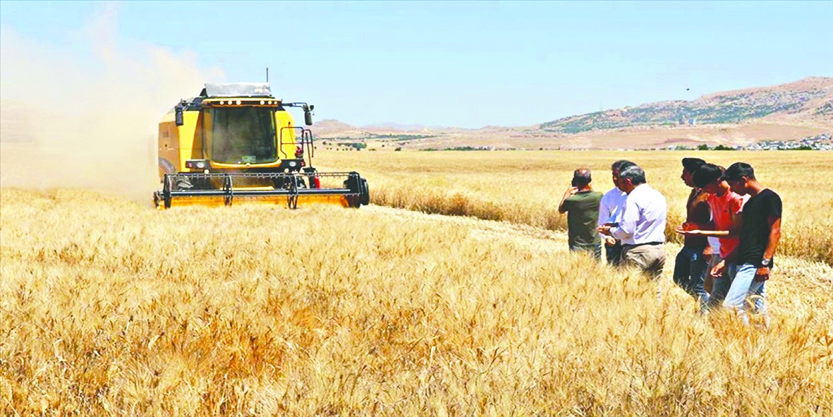 Tarım sigortalarında en fazla ödeme ‘dolu’ hasarlarına yapıldı