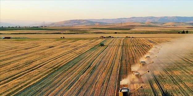 Tarım şirketi iflas etti... Kötü haber maalesef geldi!
